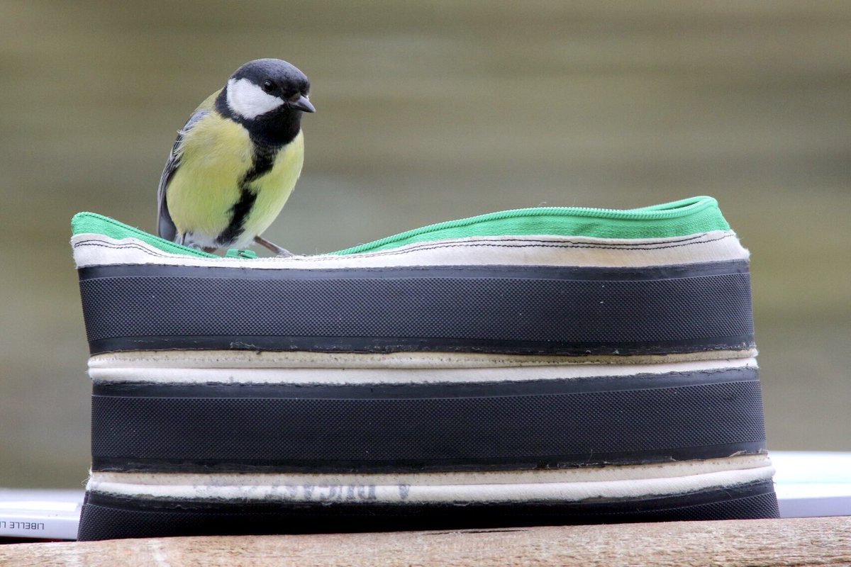 Promofototjes schieten voor @spoortemonneetje op instagram!