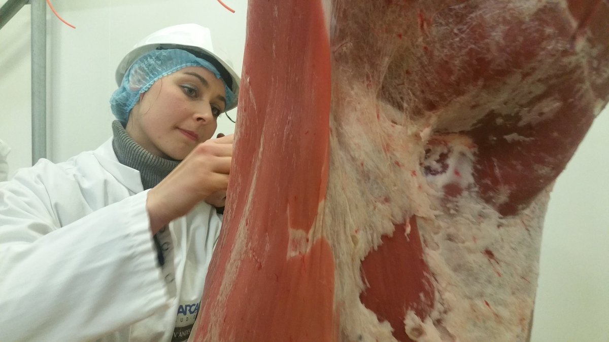 Dans #Le20HLeMag ce soir deux #Expertes , retrouvez  #LesSoeursBach , nouvelle génération de bouchères 2.0 à  Brive en #Correze  <a href="/TF1LeJT/">Natalia Kowalski</a> <a href="/GillesBouleau/">Gilles Bouleau</a>