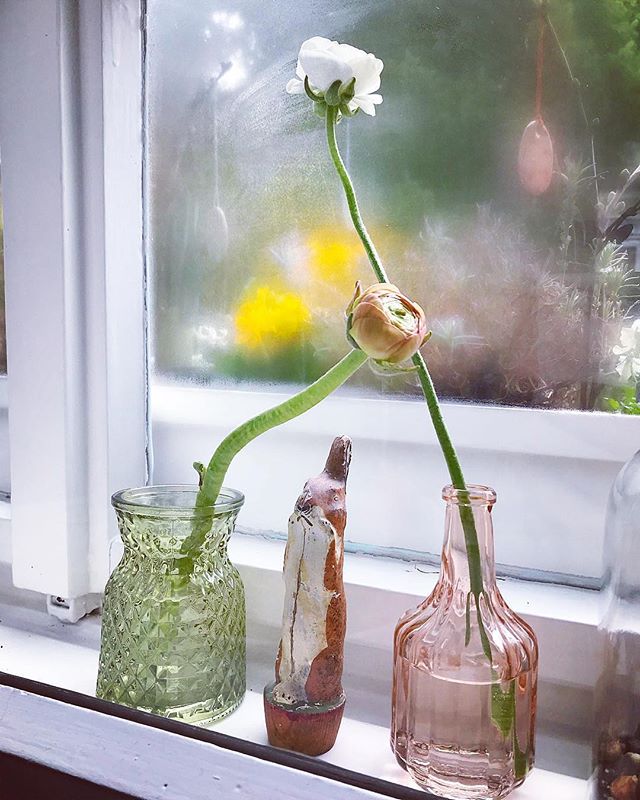 More signs of spring! Thanks for using our hashtag. Tag your photos with 

instagram.com/p/BhEPHX5HZPF/