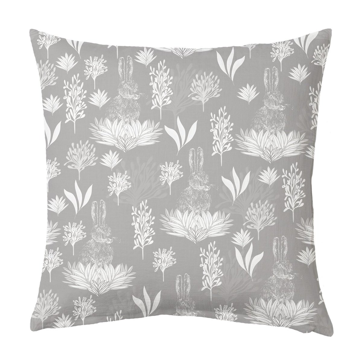 Joey Anna tweet media