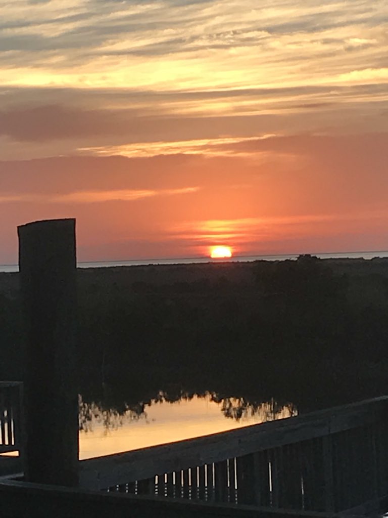 patwvr's tweet image. Cocodrie morning.