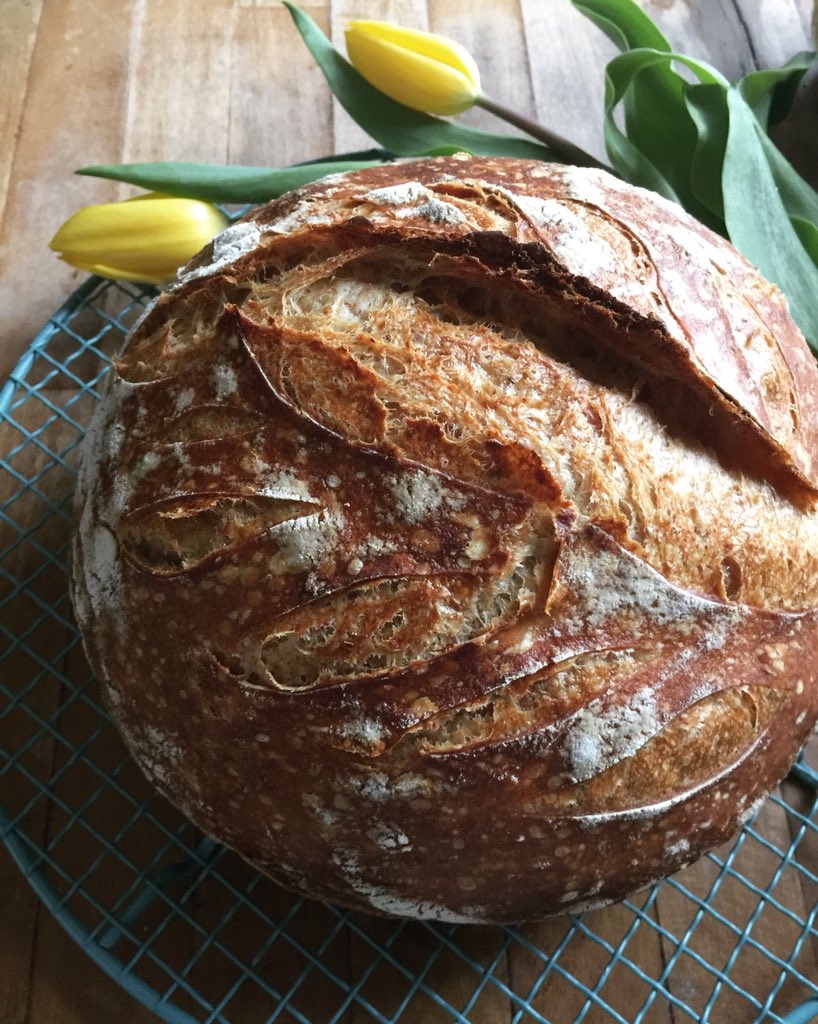 Patrici48854248's tweet image. Heresy Sourdough...named so because I made it with French Bread Flour. Turned out ok, considering #sourdough #easterbread