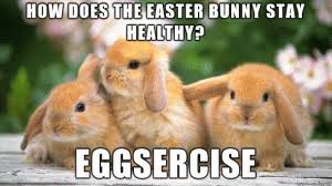 AAndersonDJ's tweet photo. Easter Monday✏️#djandreasanderson #technodj #techno #technofamily #EasterBunny #BankHolidayMonday #EasterMonday #InternationalChildrensBookDay #EasterWeekend2018 #easterjokes #jokes #humour #eggsercise #eggs #eastereggs #summer #spring #sunshine #happy #smile #laugh #laughter https://t.co/Vq1p169cV9