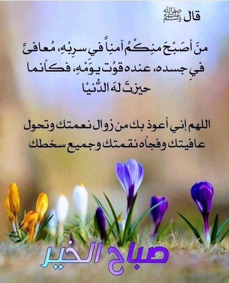 allaa77877444's tweet photo. صباح سعيد وبداية اسبوع موفقة https://t.co/tnxHhkhlpP
