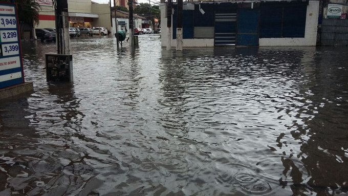 Ver imagem no Twitter