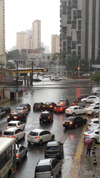 Ver imagem no Twitter