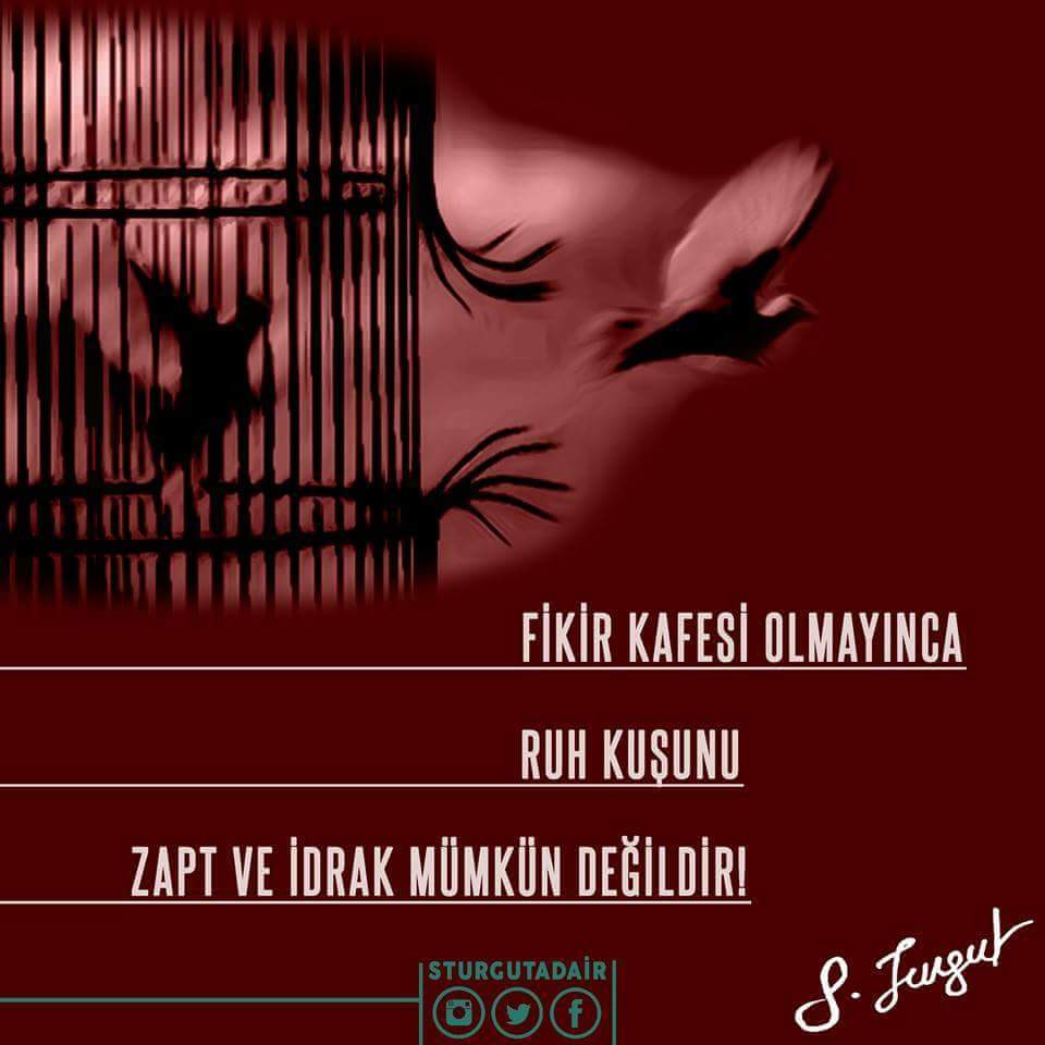 Fikir kafesi olmayınca ruh kuşunu zapt ve idrak mümkün değildir!
Servet Turgut