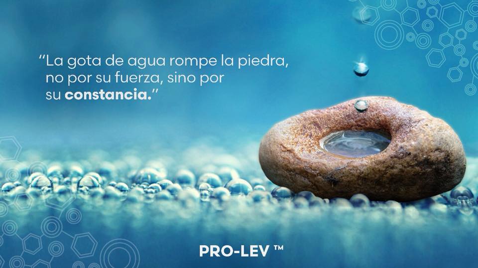 AlvaroXuniga's tweet photo. El secreto para construir un hábito es, más q un gran esfuerzo, tan sólo acostumbrarse a hacer esa actividad, recibiendo INCENTIVOS por cada paso.
#ProLev™️ está diseñado para recompensar PASO a PASO, evitando abandonos de quien aún no está preparado
Falta muy poco!!!!!
(3/3) https://t.co/jXh5gMhURp