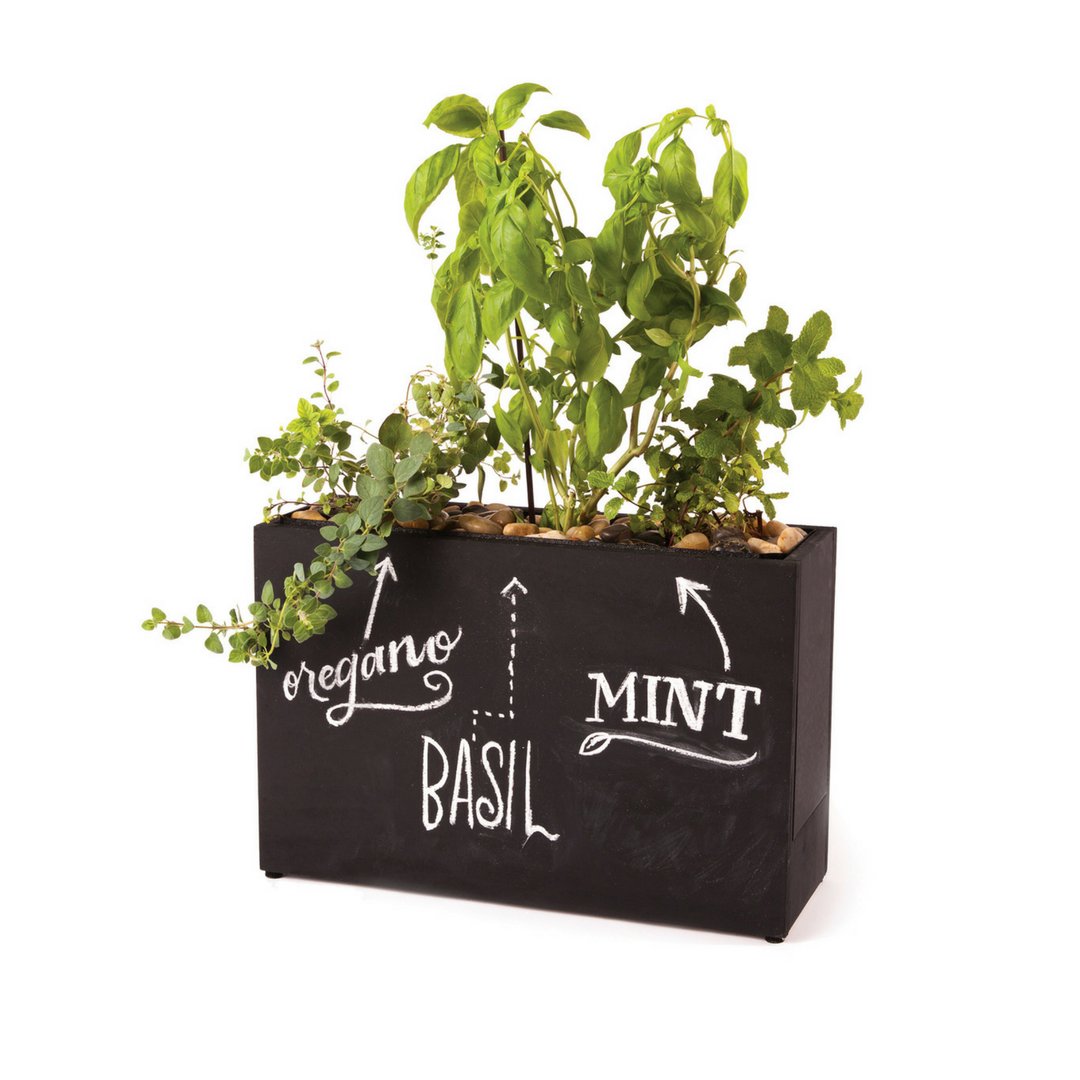 modsprout's tweet photo. Our 3-Pot Hydro Planter features a top-feed #hydroponic system that delivers #water and nutrients directly to the roots. It's a self-sustaining system allowing you to relax while it does the maintenance for you. #WeGotYou https://t.co/fOLQmgiQje https://t.co/qm8aCUlnYz