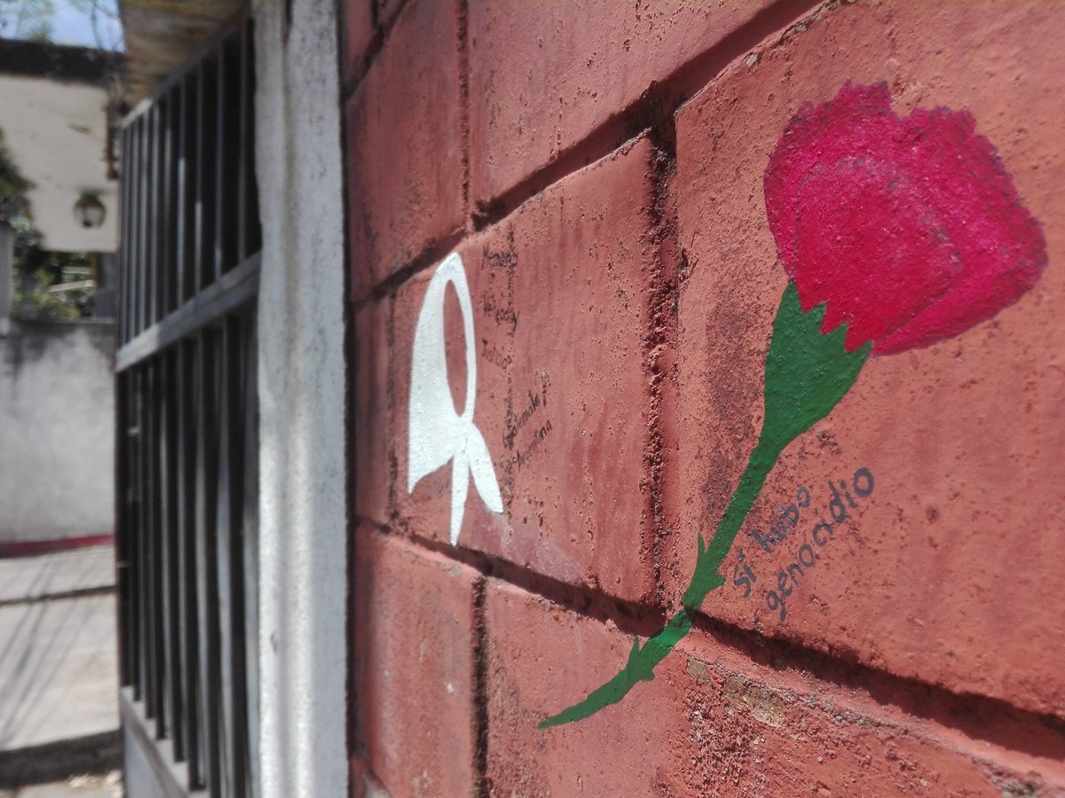 AnacristinaAV's tweet image. Nos queda la memoria. Pinto claveles rojos en mi casa para no olvidar que en Guatemala #SíHuboGenocidio. 
#ClavelesRojos