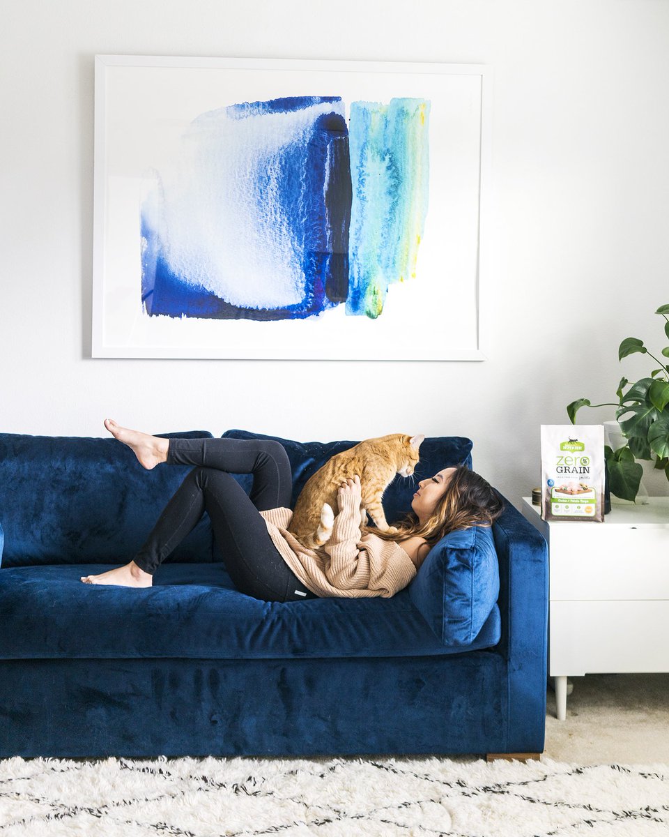 atasteofkoko's tweet image. 3 years ago I fostered 4 kittens from the local animal shelter &amp;amp; fell in love with one of them named Beethoven. Bee &amp;amp; I have been inseparable! Love that @Nutrish has donated over $23.5 million dollars to help animals in need through December 2017! #sponsored #NutrishPets