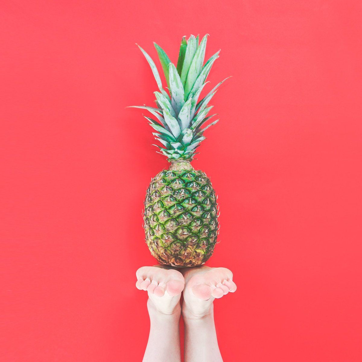 🤓Fun Fact: Pineapples are not a single fruit, but a group of berries that have fused together. 🍍
.
.
.
.
.
___________________________________________
🍍Spread the love and heal the world! 🍍
For more information visit  => tropiclove.com