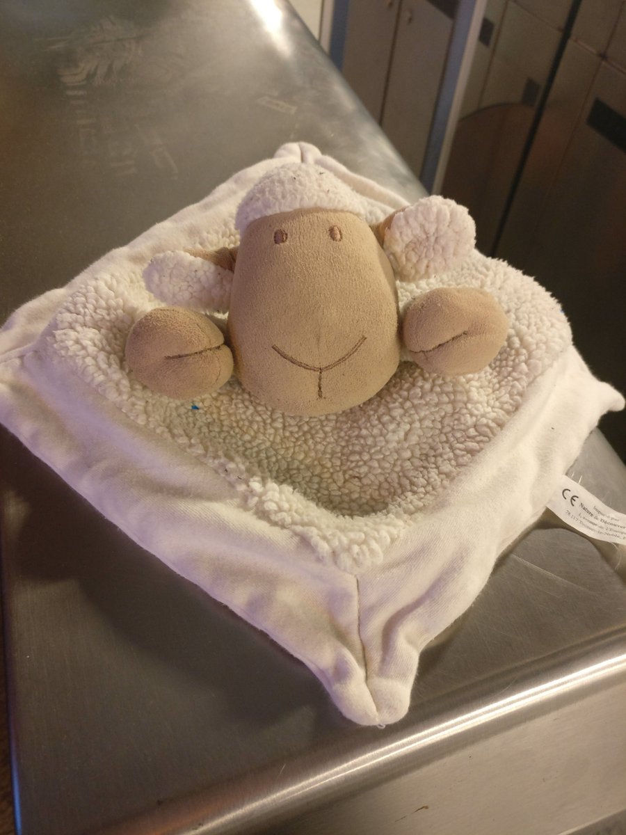 #sosdoudou #doudouperdu attend patiemment son propriétaire en gare de #RosaParks <a href="/RERE_SNCF/">RER E</a>