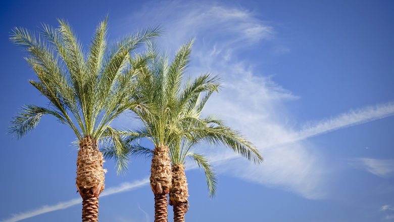 WhereTraveler tweet picture