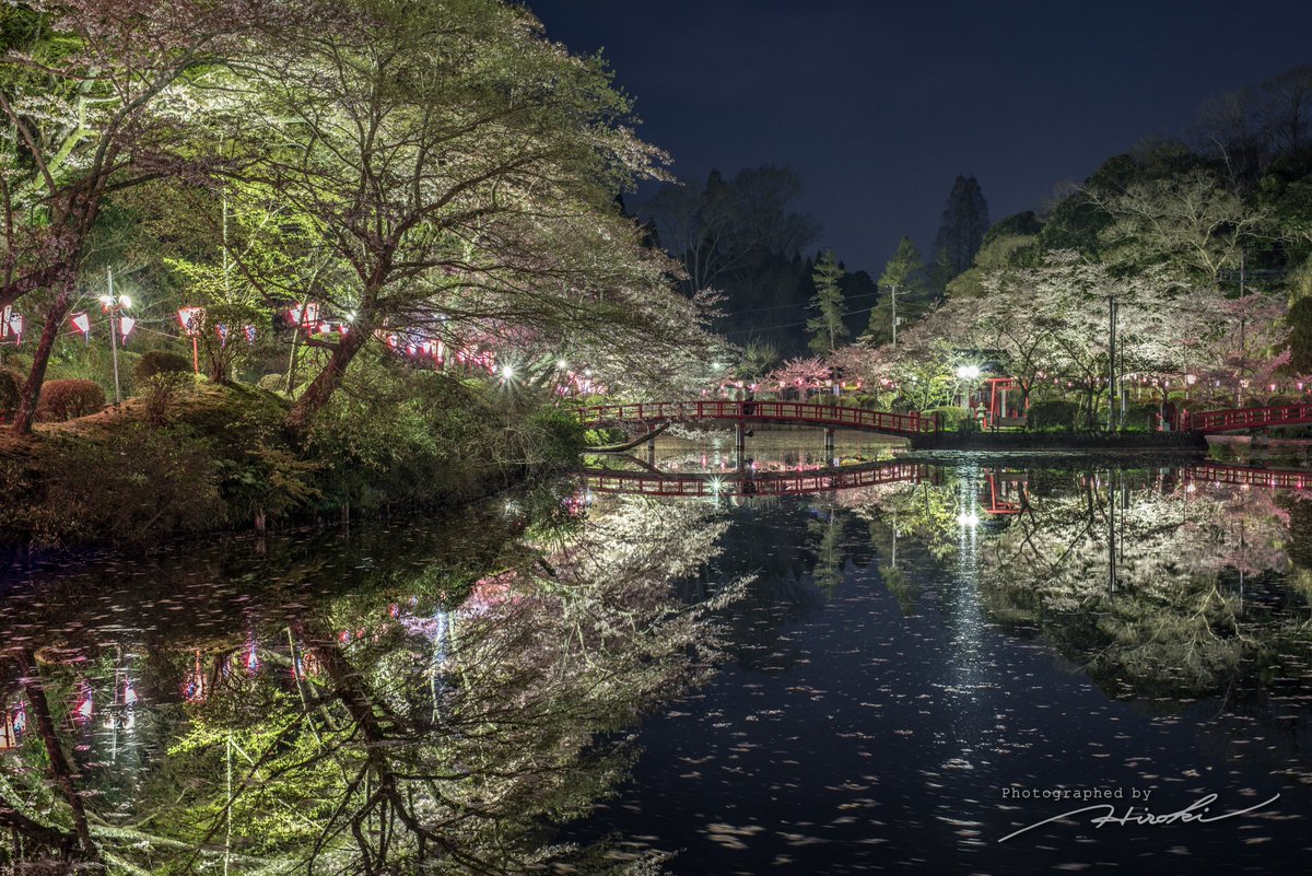 茂原公園 茂原公園