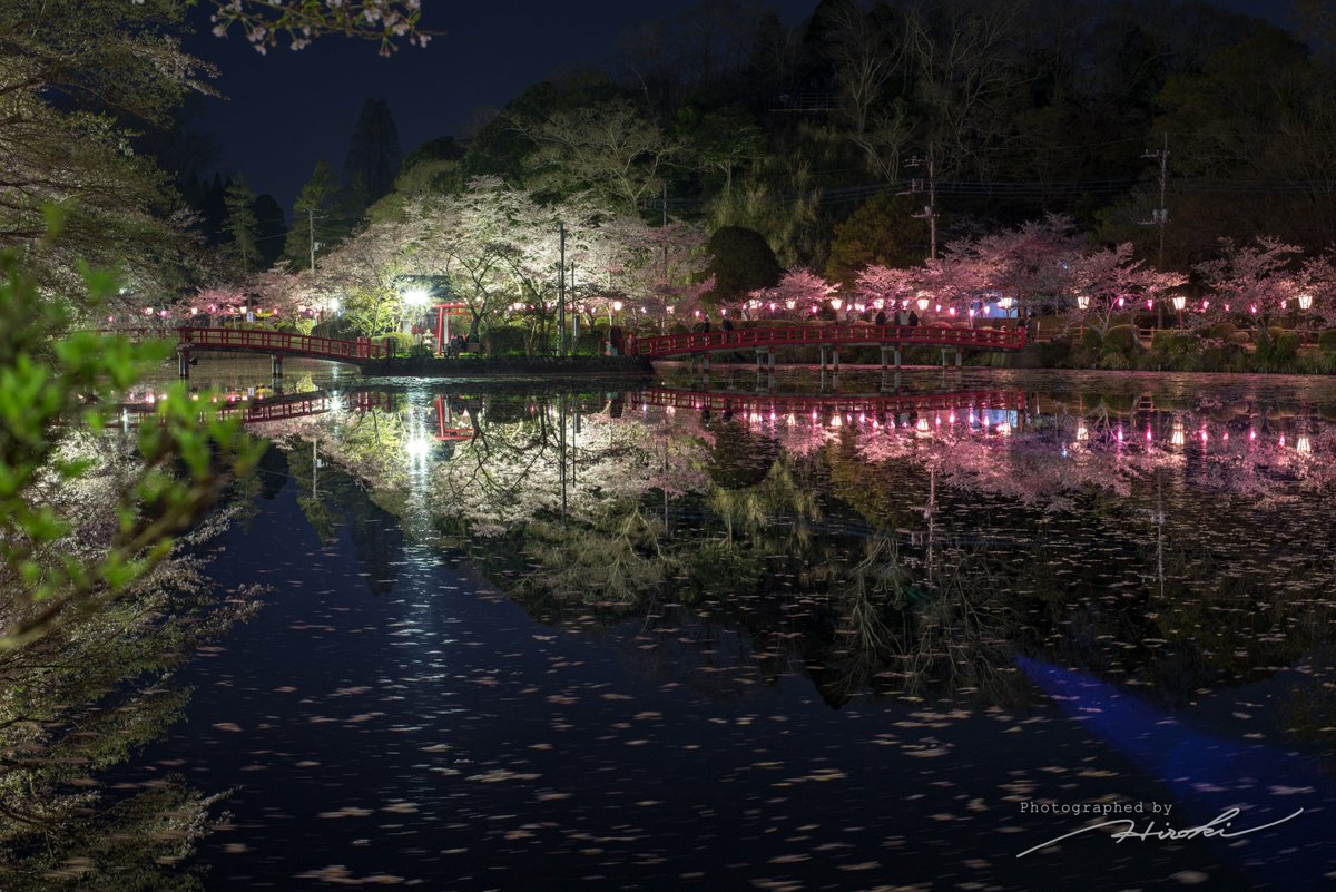 茂原公園 茂原公園