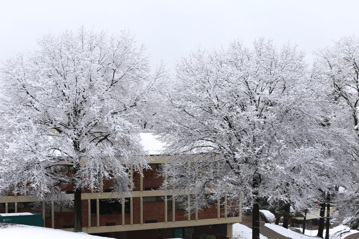RMU's tweet photo. ❄️❄️❄️ https://t.co/m90BVkZoIr