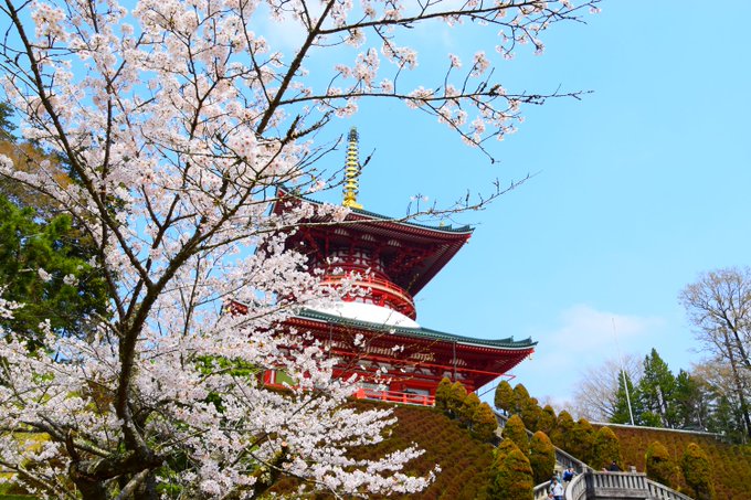 「桜 空」のTwitter画像/イラスト(古い順)