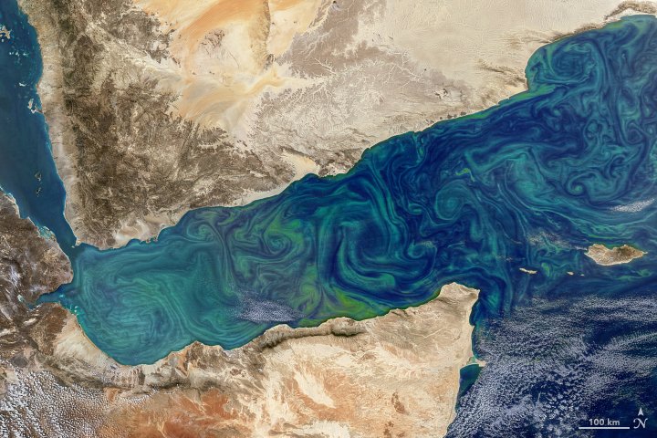 Bloom in the Gulf of Aden go.nasa.gov/2GKPhHc #NASA