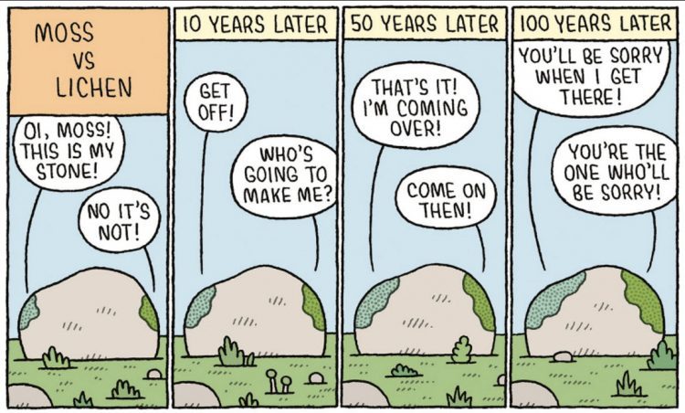 EcolChange seminar – Inga Jüriado about lichen symbiosis ecolchange.wordpress.com/2018/04/02/eco…