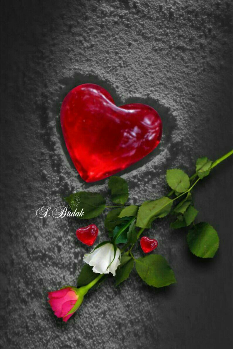 <a href="/Bnt_Karbala/">🌼أم روان الكربلائية🌼</a> <a href="/yhosien/">هُدى المتـقين</a> @acbvvdxd @nargisameer966 @a_wahjj <a href="/Da899664/">عاشوراء زماني ~❥</a> <a href="/hmoos_85/">جوجو 🌼فوفو</a> @O__O5SR <a href="/ebtihajafar/">قطر الندى سمير</a> <a href="/Bnt_Alsadah/">🌸الكربلائية🌸</a> ⠀

•المحبه هي طاقة الحياة.♥️“

يسعد اوقاتكم حبايب ❤