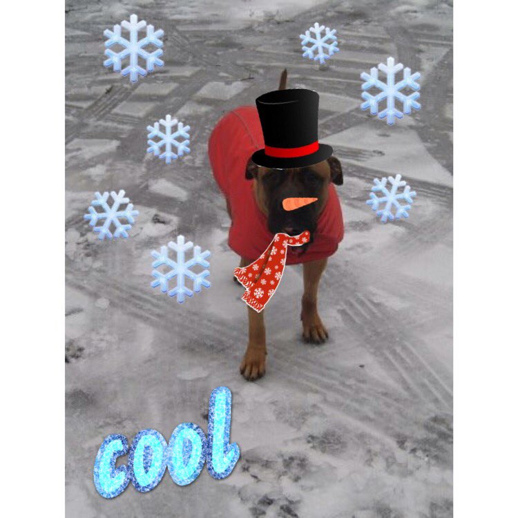 MDawg4269's tweet photo. How I be like today #whatsspring https://t.co/TYXndzl9YW
