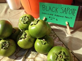 EdibleSoFla's tweet photo. Mango! Jackfruit! Lychee! Mamey sapote! Black sapote aka chocolate pudding fruit All your favorite trees are at the Rare Fruit &amp; Vegetable Council of Broward's spring sale 4/7-8 https://t.co/9qrNxHSqqm https://t.co/SSJYZcVEk6