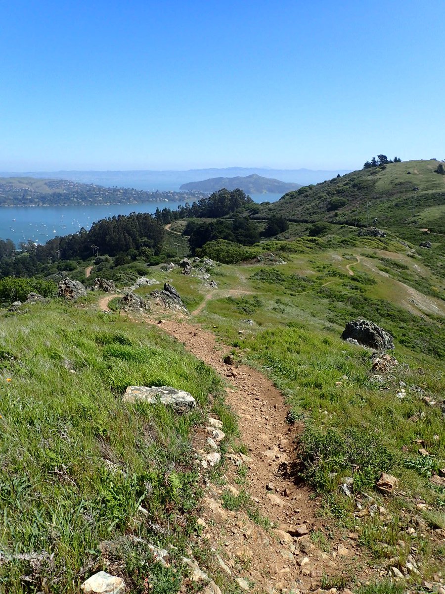 TrailThings's tweet image. Easter magic