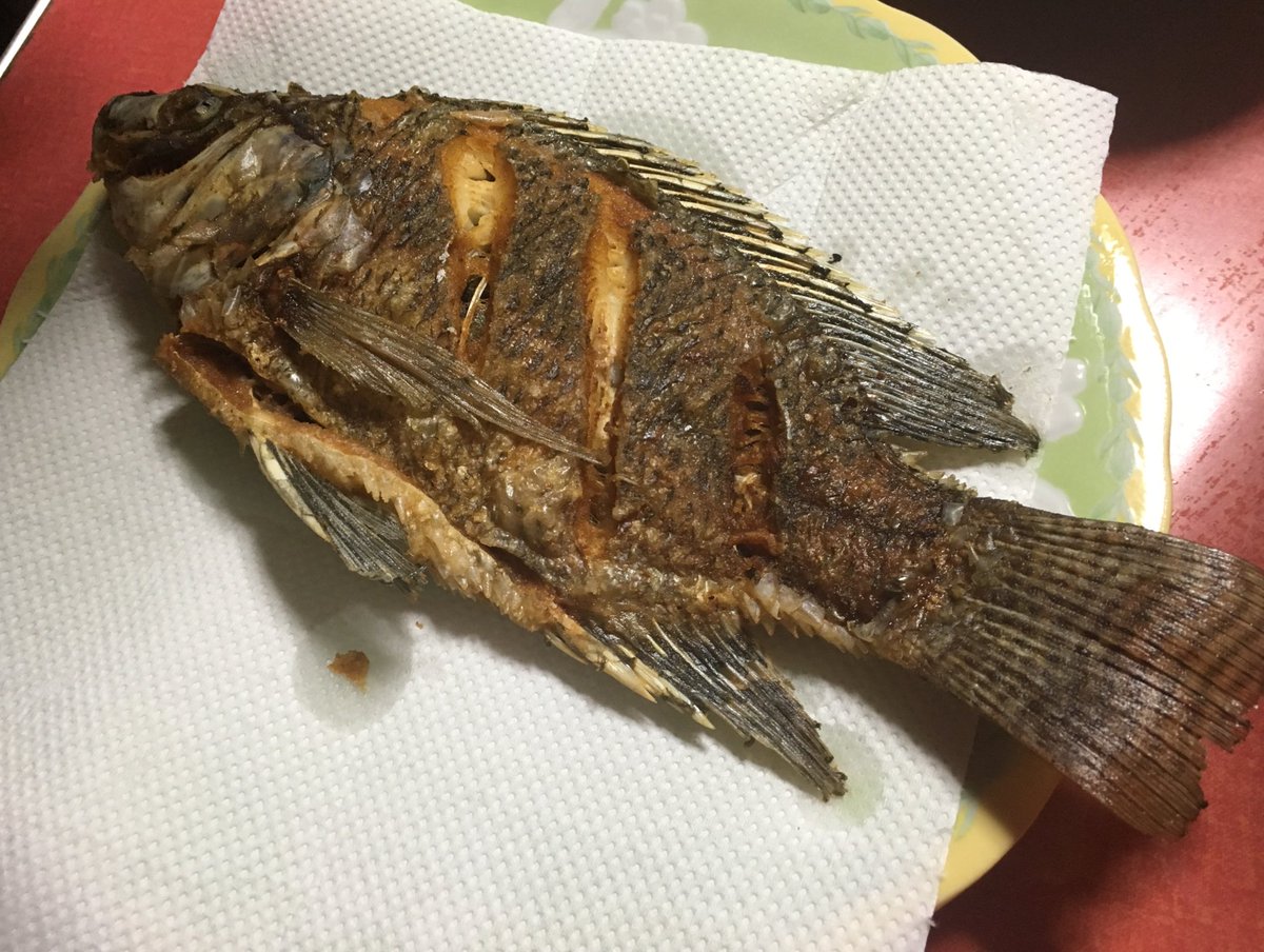 星愛 みか 双子の妹 パラレルドリーム Twitter પર 夕飯は大好きなフィリピン料理でした Happy ティラピア 魚 と フィリピン料理のニラガ スープ 身体に優しい味で大好きなの 艸 艸 1日1happy パラレルドリーム パラドリ