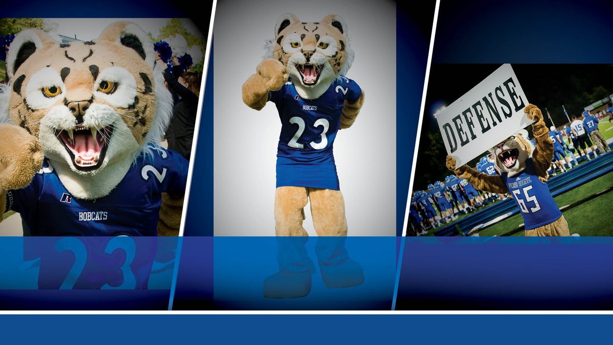 pscbobcats's tweet photo. #Vote for "Bob the Bobcat" in the Heart Challenge beginning tomorrow - https://t.co/2RDbghOONm #ClawsOut #PeruState150 @PSC_SAAC @PSCFootball @xc_peru @PSCVball @PSCWomensGolf @PSCWomenHoops @PSCMenHoops @PSCCheer @PSCBaseball @PSCBobcatSB @BrendaGayleLutz @LouisVarley https://t.co/JFERnPUfdI