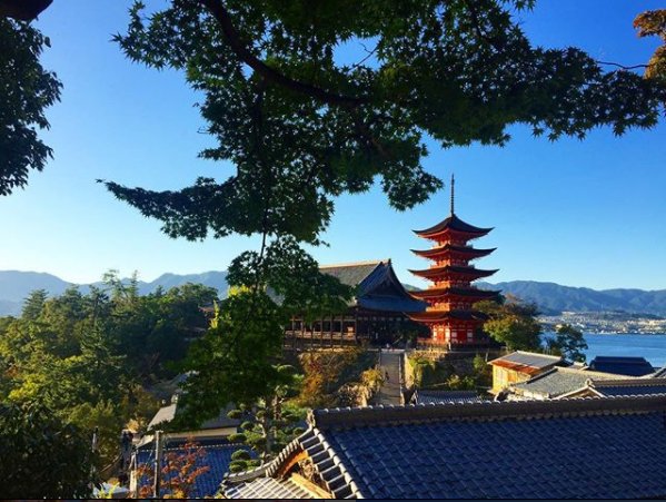 seekinghiroshim's tweet photo. Five-storied Pagoda at Miyajima, Hiroshima.
#Japan #japanese #ilovejapan #lovejapanese #pagoda #tower #hiroshima #miyajima #miyajimaisland #miyajimatrip #miyajimagram #fortourists #touriststrip #nihon #nippon #instajapan #followme #follow 
#sightseeing #SEEKINGHIROSHIMA #SH https://t.co/ULr3DWnM7T