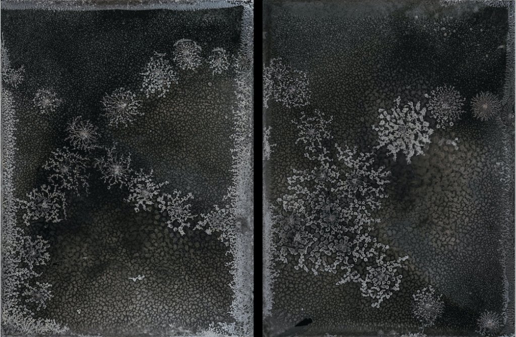 Catherine Edelman Gallery is pleased to announce representation of Michael Koerner! cyclopsblog.com/2018/04/02/cat…