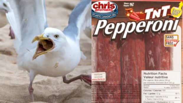 CBCToronto's tweet image. A posh B.C. hotel banned him after seagulls - feasting on enough pepperoni to fill a small suitcase - trashed his swanky suite. 17 years later, Nick Burchill has finally cleared his name  bit.ly/2JeJF6e