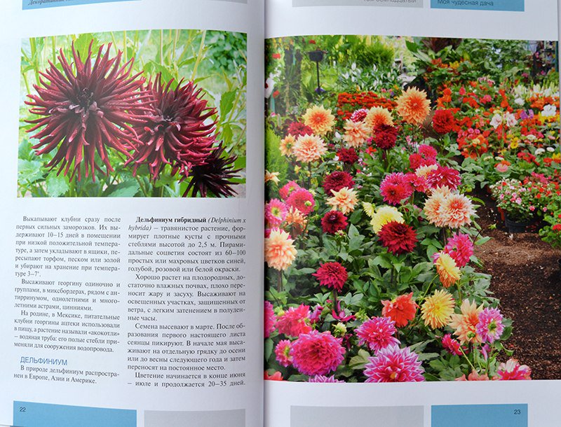 shop Modern Phytochemical Methods 1991