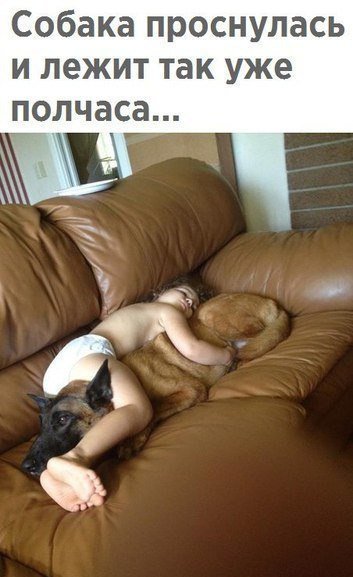 HUMOR.FM (@_humor_fm_) on Twitter photo 