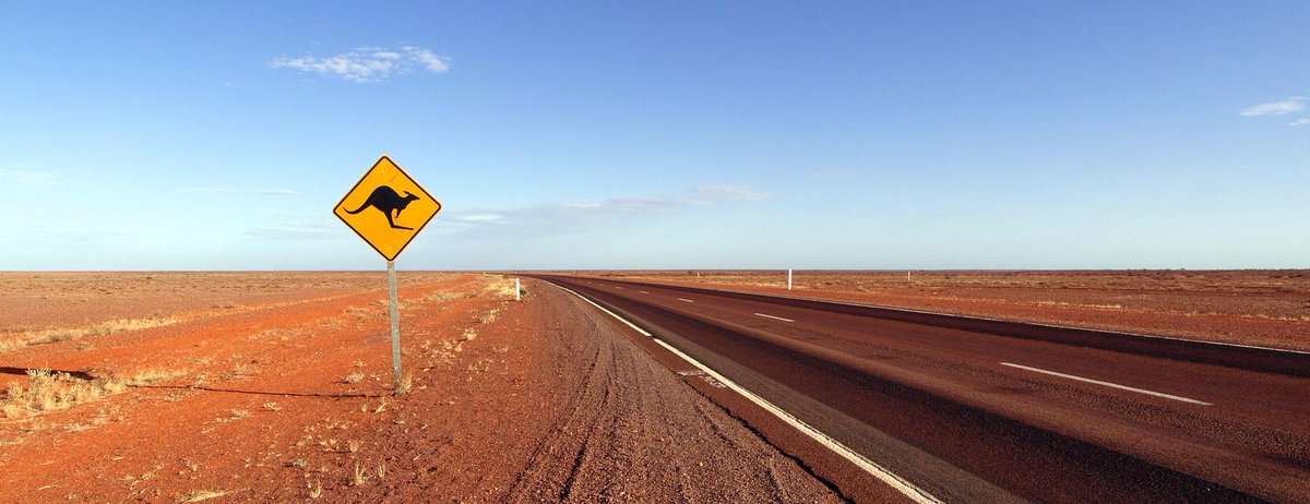 With the dry continuing the roo debate grows. Have Roo’s eaten away your income from crops or livestock? #farmsadvice