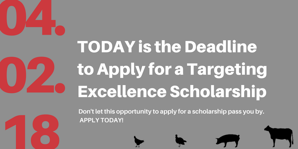 TargetingExcel's tweet image. Please make sure you get your 2018 #scholarship application submitted no later than Midnight tonight if you want to considered for a 2018 Targeting Excellence award. buff.ly/2E0mp8d