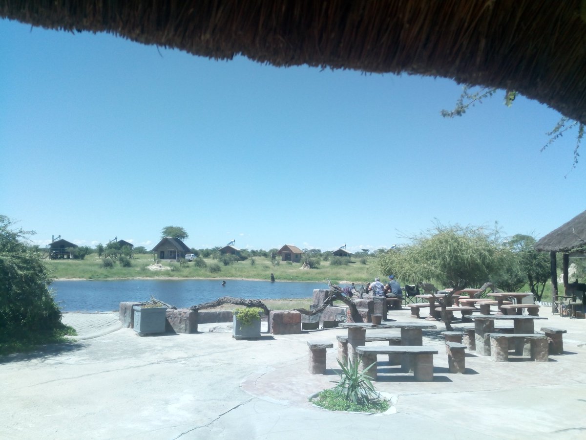 markhammick's tweet photo. Elephant Sands near Nata. Great place https://t.co/sr9TrIOzck