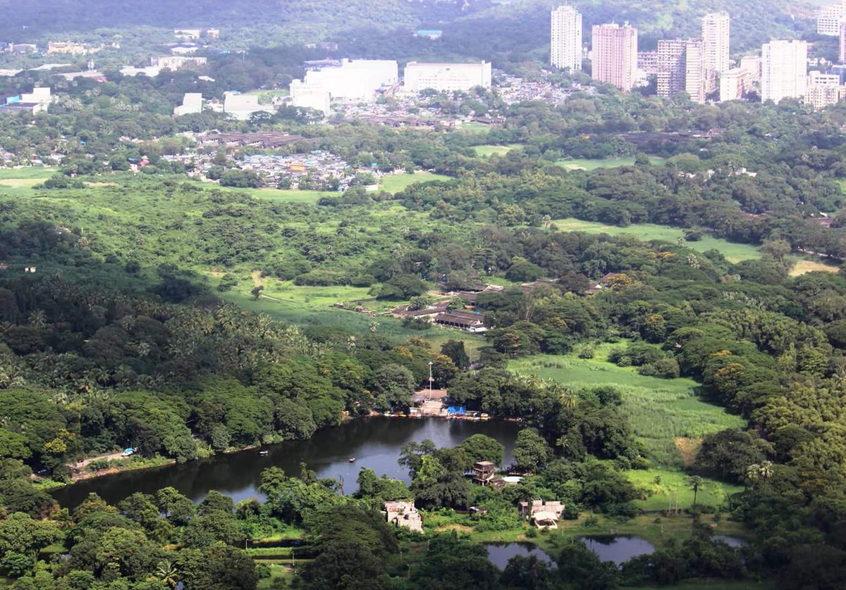 ketan83's tweet image. How ridiculous is it to justify damaging a forest by saying public transport will save environment. Damage to Aarey is irreplaceable. When Alternative is available why can&apos;t the Metro Shed be shifted there? Pic Credit @yogeshMIRROR
#SaveAarey @deespeak @AUThackeray @RandeepHooda