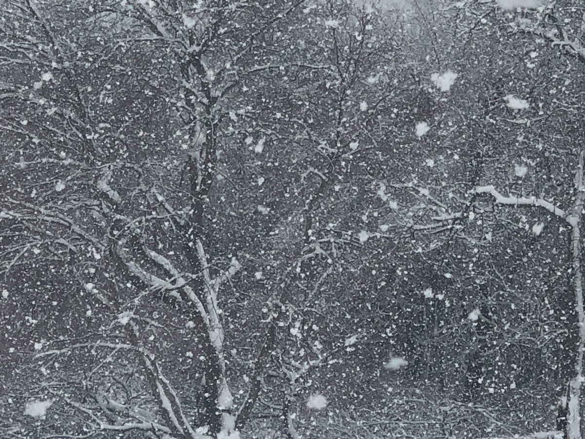 allisonmarler3's tweet photo. SHARE61: Send us your storm pics and weather videos – FOX 61 https://t.co/7KlF1HyD03 https://t.co/GC4OmUAcy6