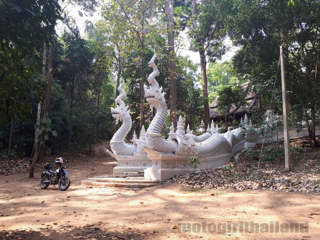 For an amazing route guide to this hidden forest jungle and so much more, check out this #MotoSplore route guide: motosplore.com/thailand-map/m… #jungletemple #motorcycle #motorbike #thailand #motorcycletour #ridinginthailand #hiddenthailand #unseenthailand #travel #motorcycletravel