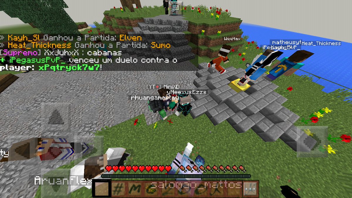 Aquela print com o @_Mini_XD_