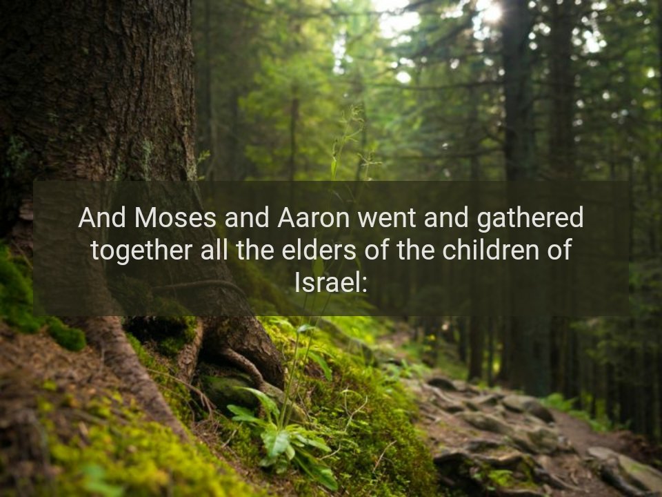 AnnellWinfield's tweet image. GOOD MORNING EVERYONE HAVE A BLESSED DAY EVERYONE AND I THANK GOD FOR WAKING ME UP LOVE Y'ALL