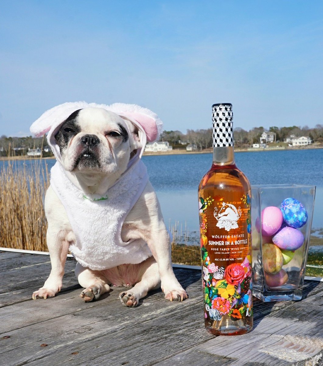 Our Easter vibes with <a href="/WolfferWine/">Wölffer Estate</a> 🐰🥚🌹🍷 #hamptons #easter