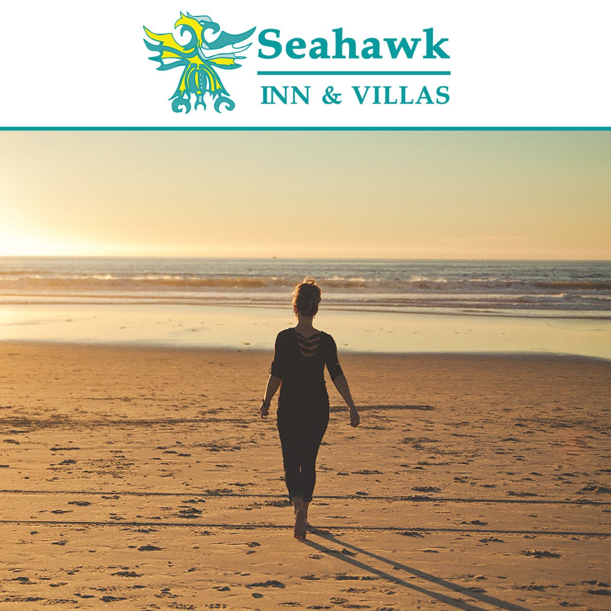 SeahawkInn's tweet image. Need some quality time just for yourself? Come stay at the #SeahawkInn and create great memories from your favorite place to be in #AtlanticBeach! Now is a wonderful time to spend quality time on #EmeraldIsle. Call this weekend to book your stay with us on (252) 726-4146.