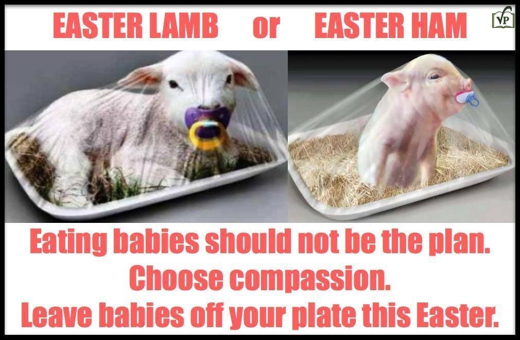 noconversion's tweet image. #EasterSunday 
#easterclapback 
#EasterFools 
This is what they eat !!!!
