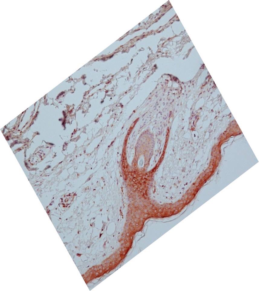 Asociace nanotechnologického průmyslu ČR tweet media