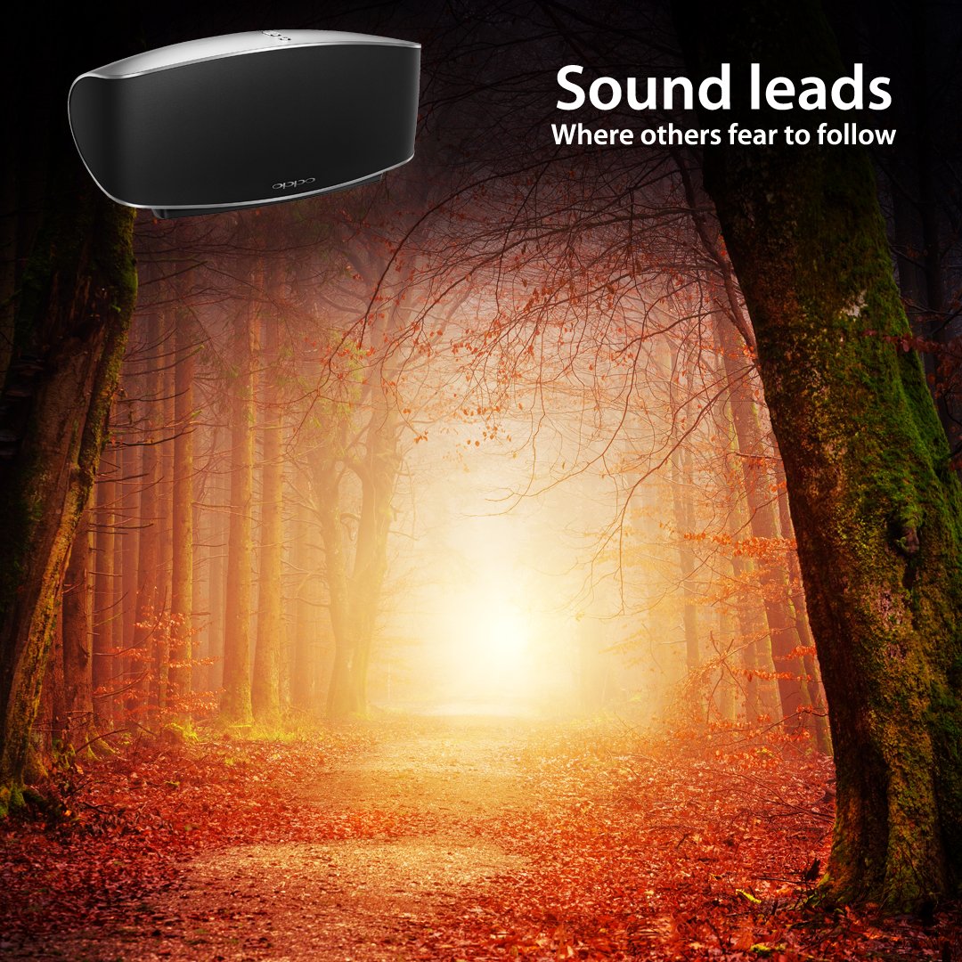 Sound tells us more about what we can't see— what's on the horizon, around the corner, or behind us. It can assuage our fears or heighten them, sometimes both at the same time. Will it guide you forward, or give you reason to pause? 
Explore Sonica: ow.ly/HQsN30jbIYn