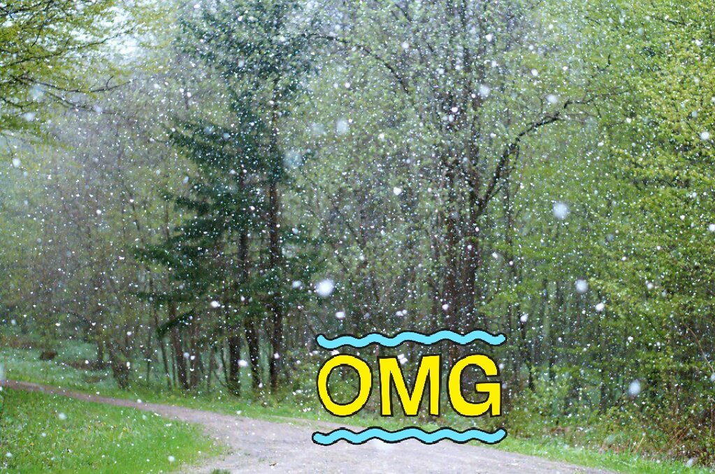 💑I TRUE LOVE 💏 (@sonofsardar1166) on Twitter photo 