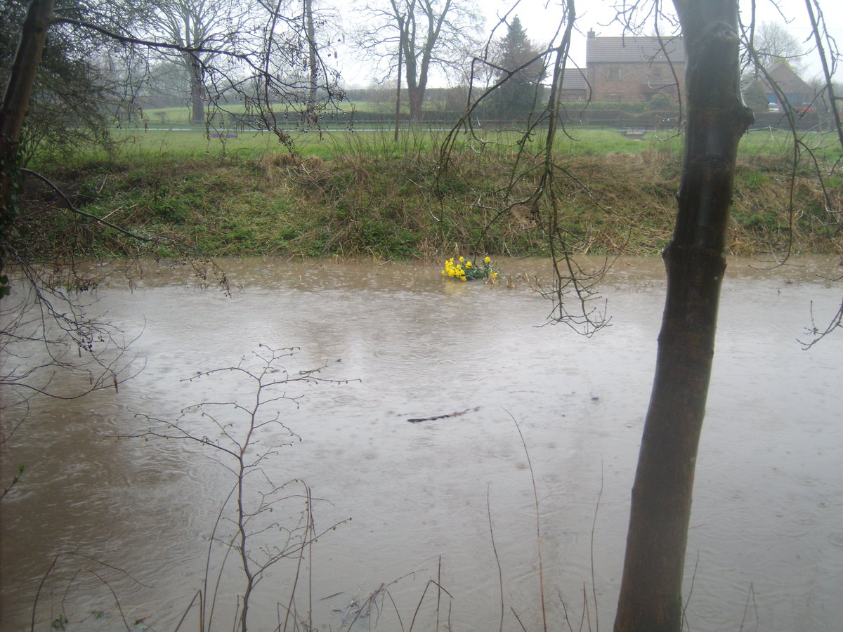 janeairpoetry's tweet photo. More photos taken today of the flooding of Louth canal #TedderHall #daffodills #Louthcanal #BBCLookNorth #TheresaMay #LouthLeadernews https://t.co/7RdNtKf8wH